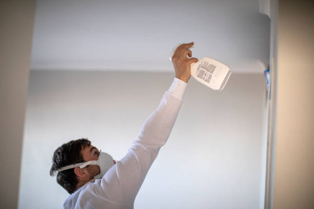 Best Local Mold Removal Service  in Central, LA