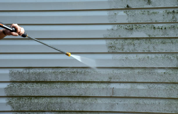 Best Mold Cleaning Services  in Central, LA