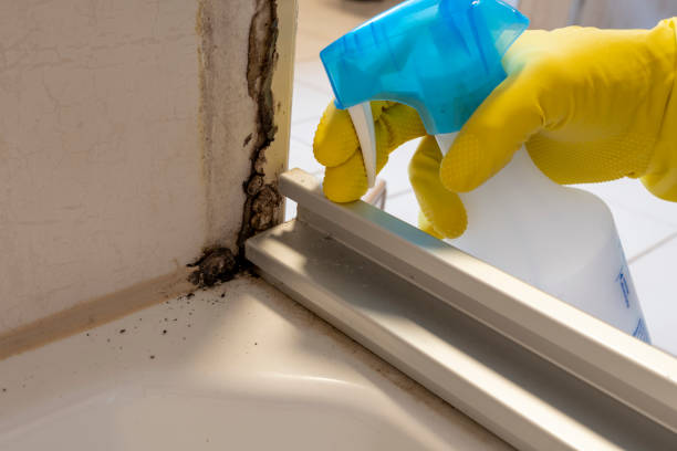 Central, LA Mold Removal Company