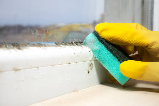 Best Crawl Space Mold Removal  in Central, LA