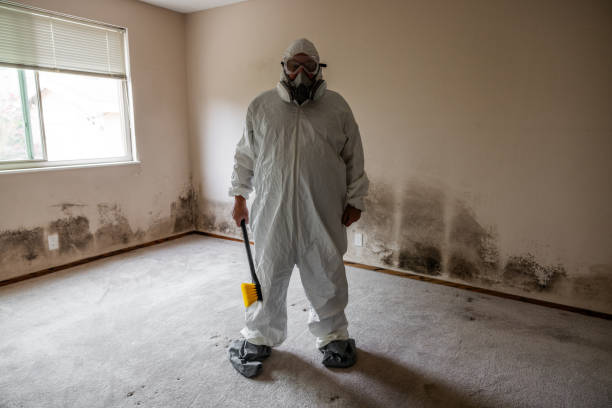 Best Certified Mold Removal  in Central, LA