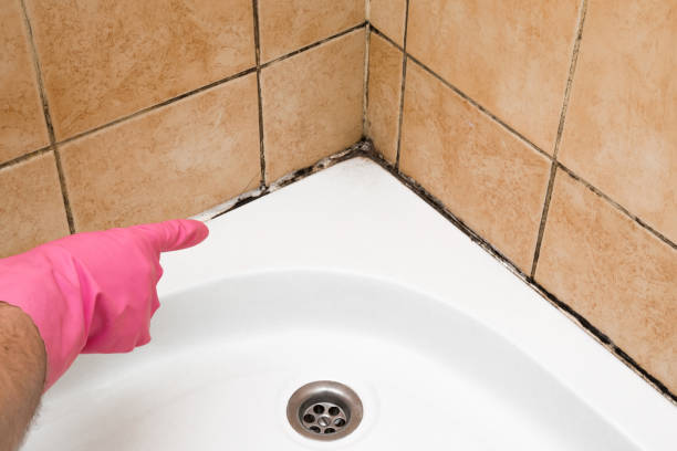 Best Mold Testing  in Central, LA